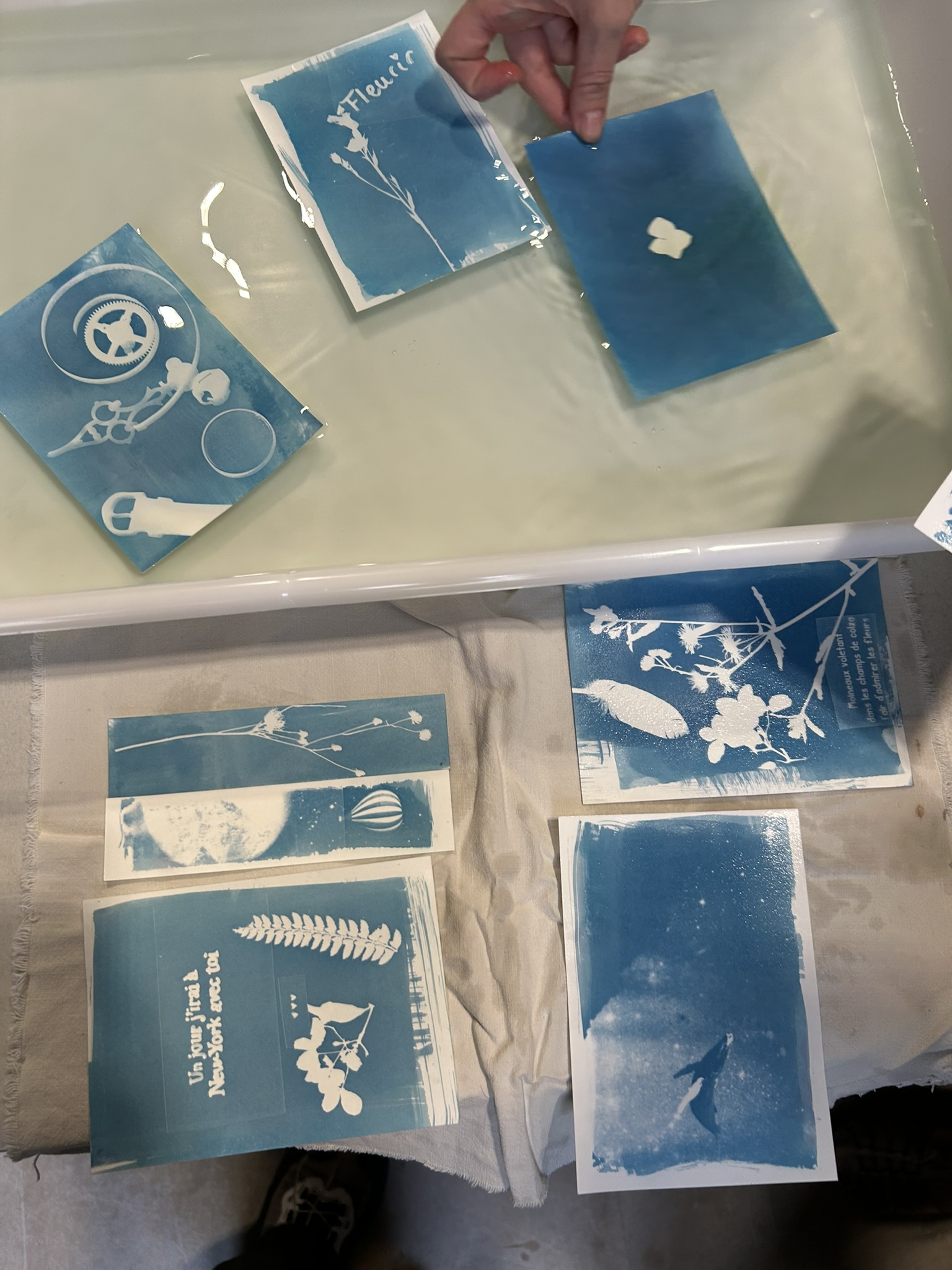 carte postal faite en cyanotype